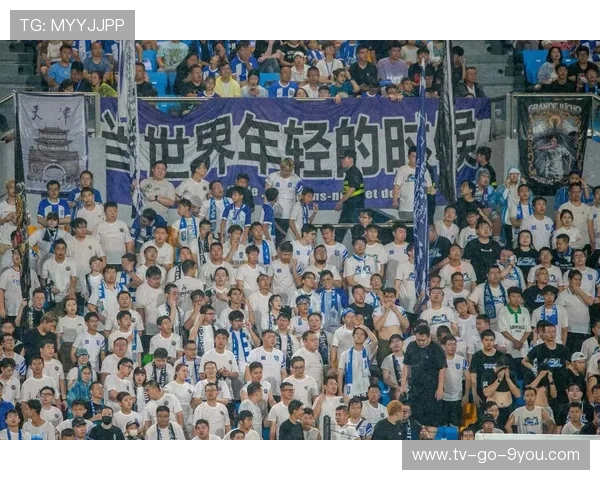 津门虎崛起之路：从天津足球的辉煌到重回巅峰的奋进历程