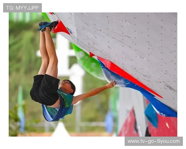 南京攀岩队创佳绩攀岩耐力排名跃升至新高引发广泛关注 南京攀岩队创佳绩攀岩耐力排名跃升至新高引发广泛关注