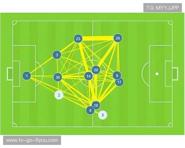 西安篮球队技术表现的全面数据分析与战术探讨 西安篮球队技术表现的全面数据分析与战术探讨